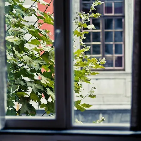 Centre Appartement *